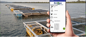 Controle o manejo na piscicultura com app da AQUi9 – Plano START até 1t/mês